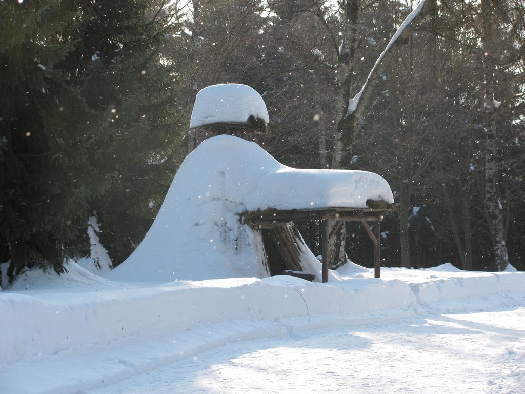 Hotel Kilian Braunlage Eksteriør billede